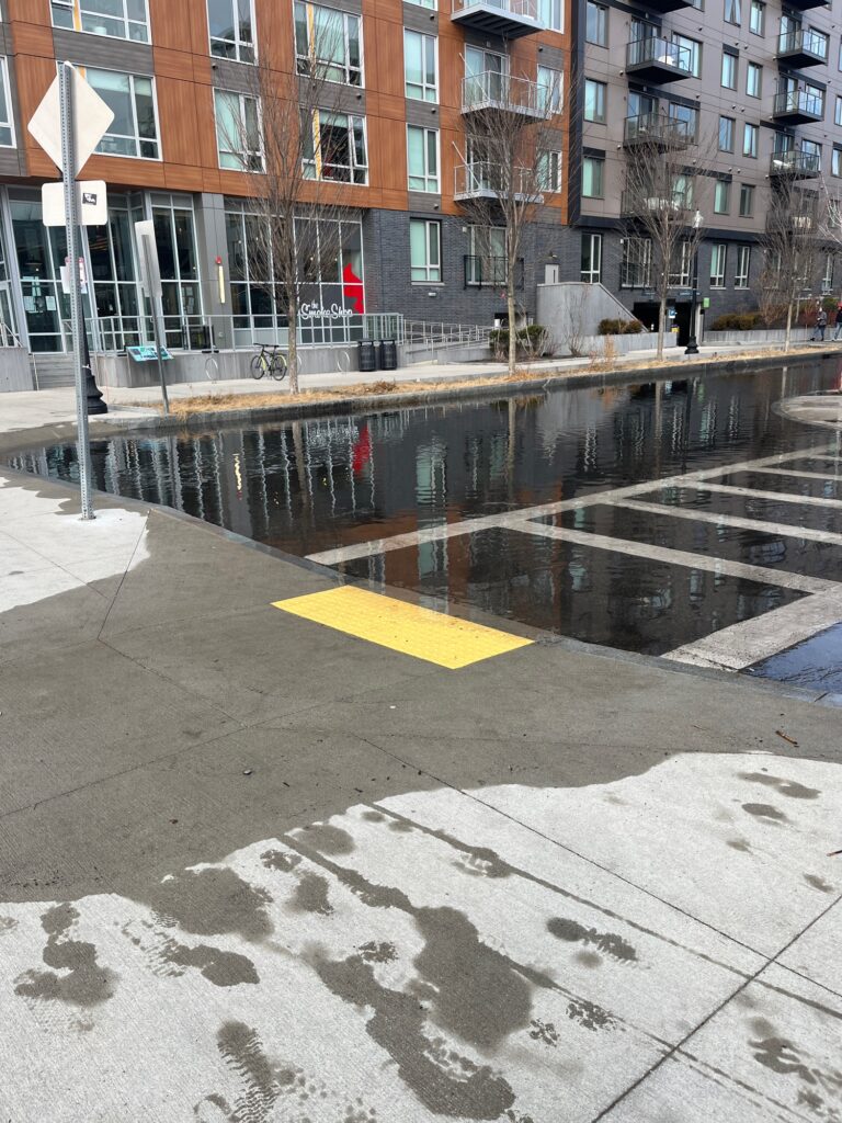 a wet street with a puddle of water on the ground (MyCoast AI)