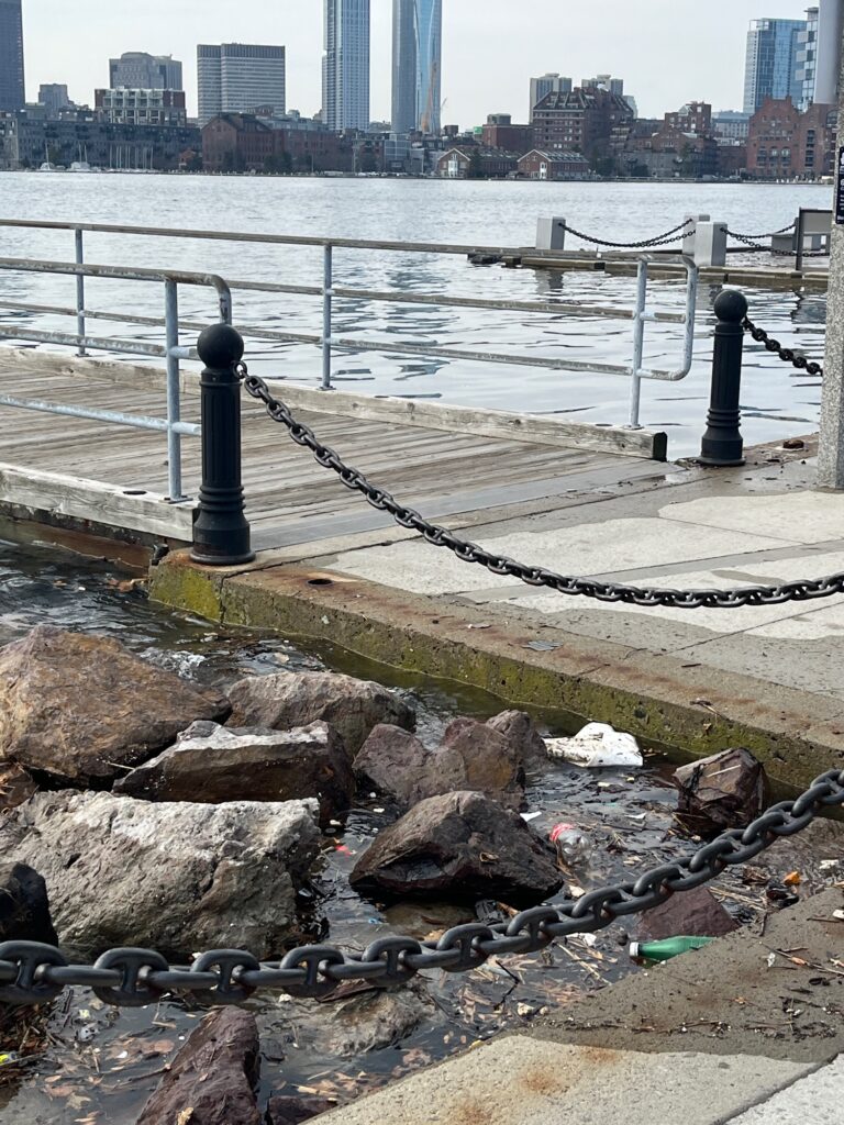 a chain on a rock by a body of water with a city in the background (MyCoast AI)