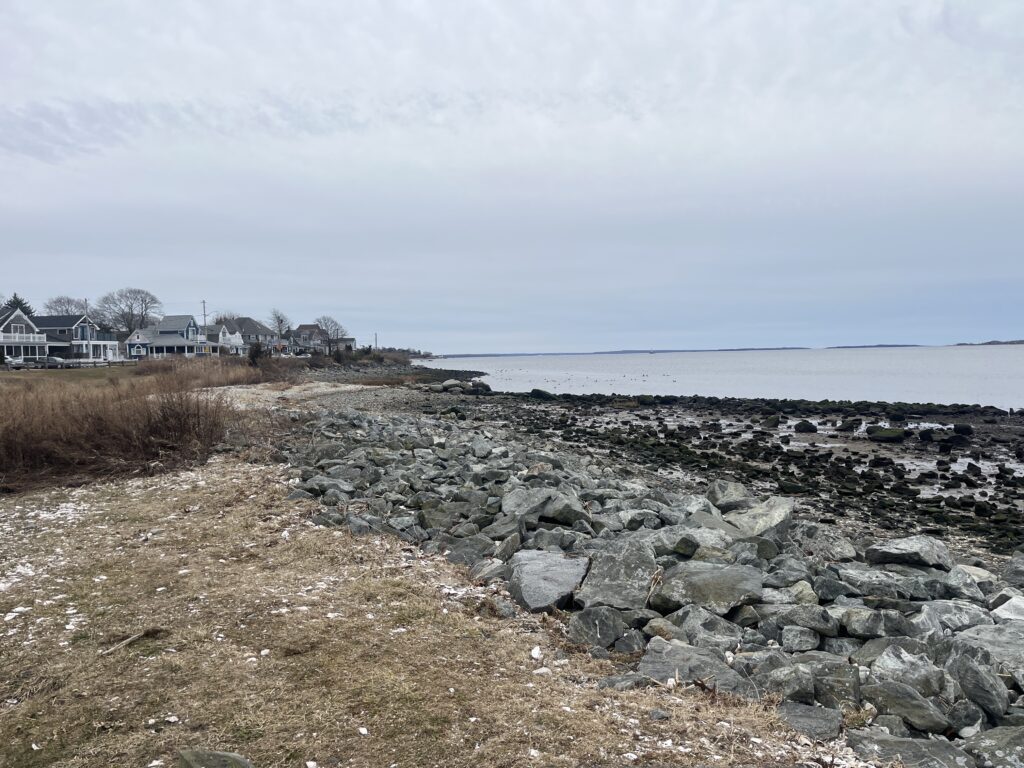 a rocky beach with houses in the background (MyCoast AI)