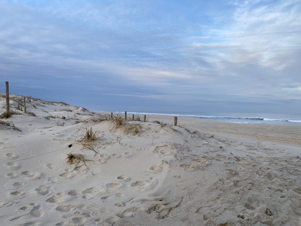 a sandy beach with a fence and water in the background (MyCoast AI)