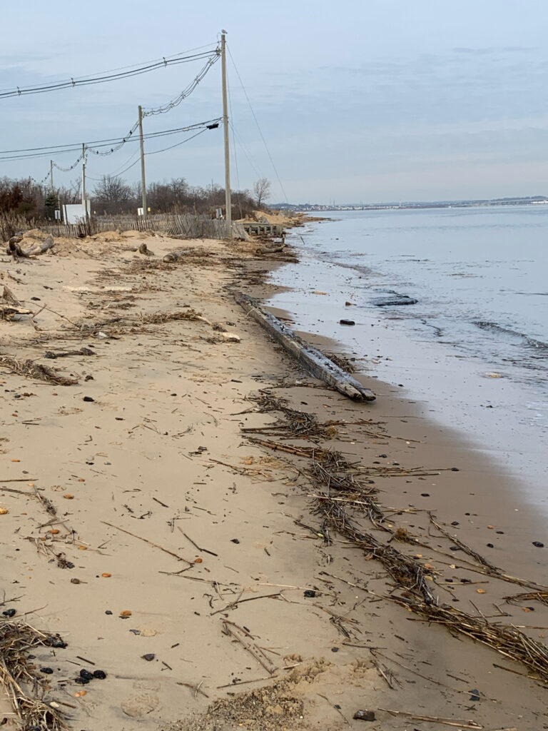 a sandy beach with water and power lines (MyCoast AI)