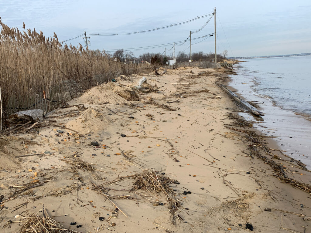 a sandy beach with water and trees (MyCoast AI)