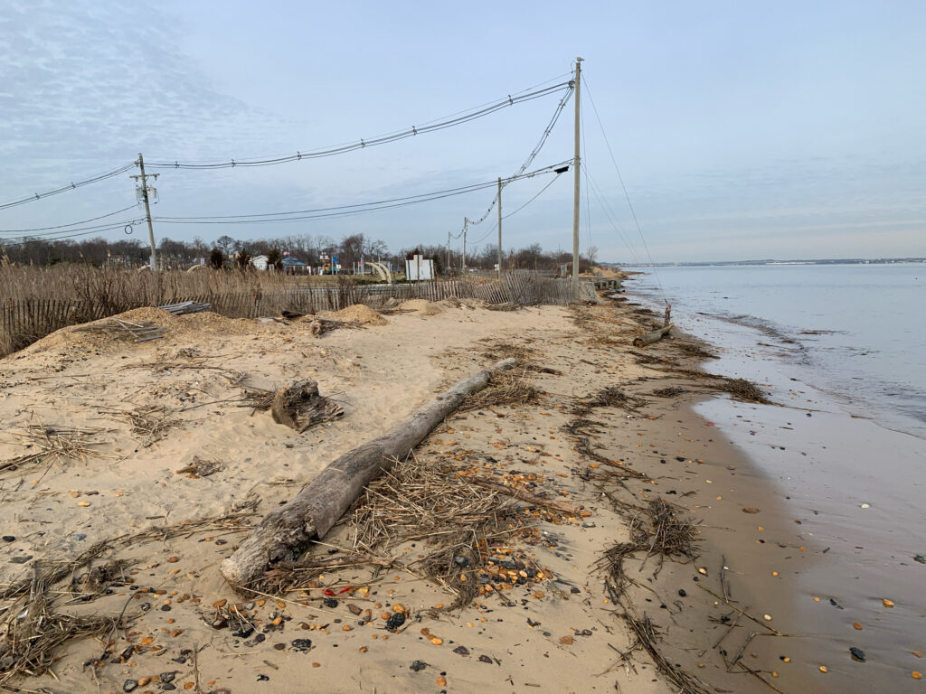 a beach with a pile of wood (MyCoast AI)