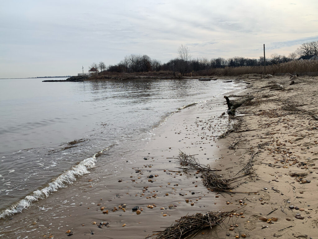 a beach with a body of water (MyCoast AI)