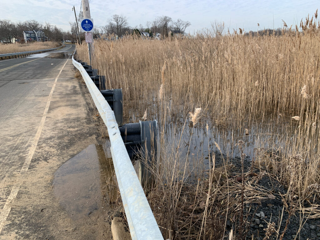 a road with a rail (MyCoast AI)