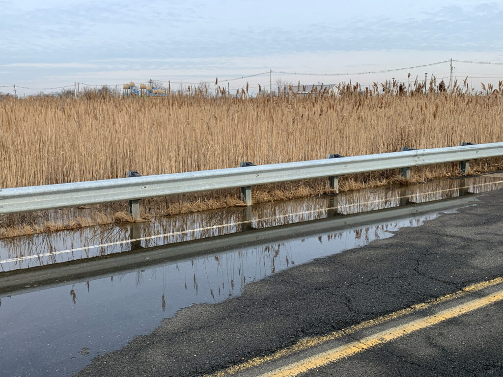 a road with a white railing and a field of tall grass (MyCoast AI)