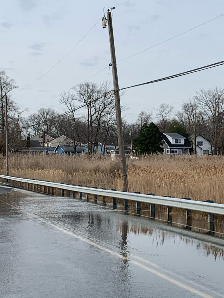 a flooded road with houses and trees (MyCoast AI)
