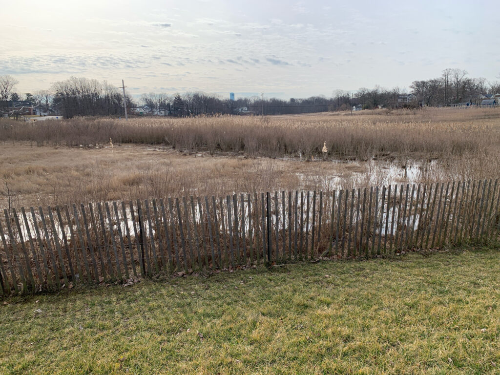 a field with a fence and a body of water in the background (MyCoast AI)