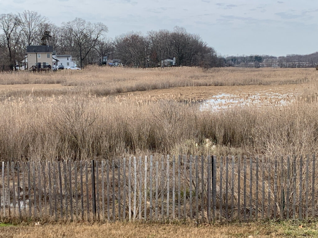a field with a fence and a house in the background (MyCoast AI)