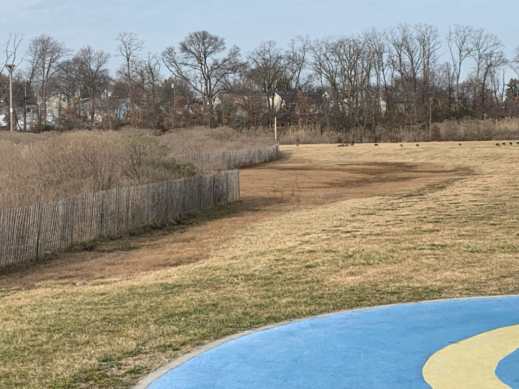 a fence and a field (MyCoast AI)