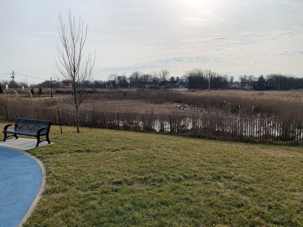 a bench in a park (MyCoast AI)