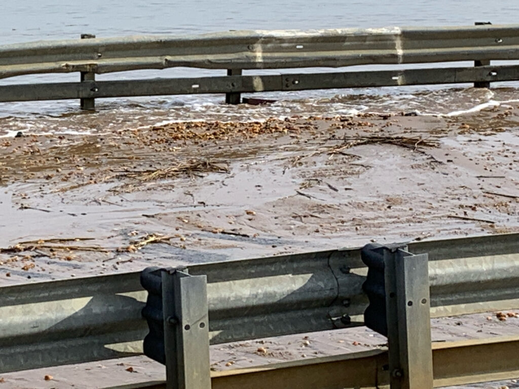a bench on a beach (MyCoast AI)