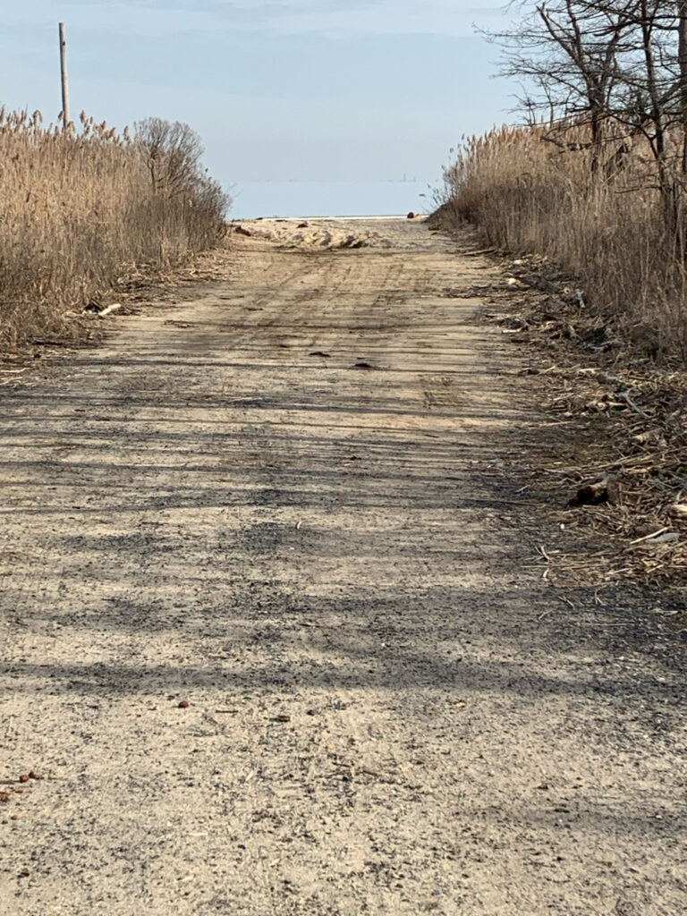a dirt road with trees on the side (MyCoast AI)