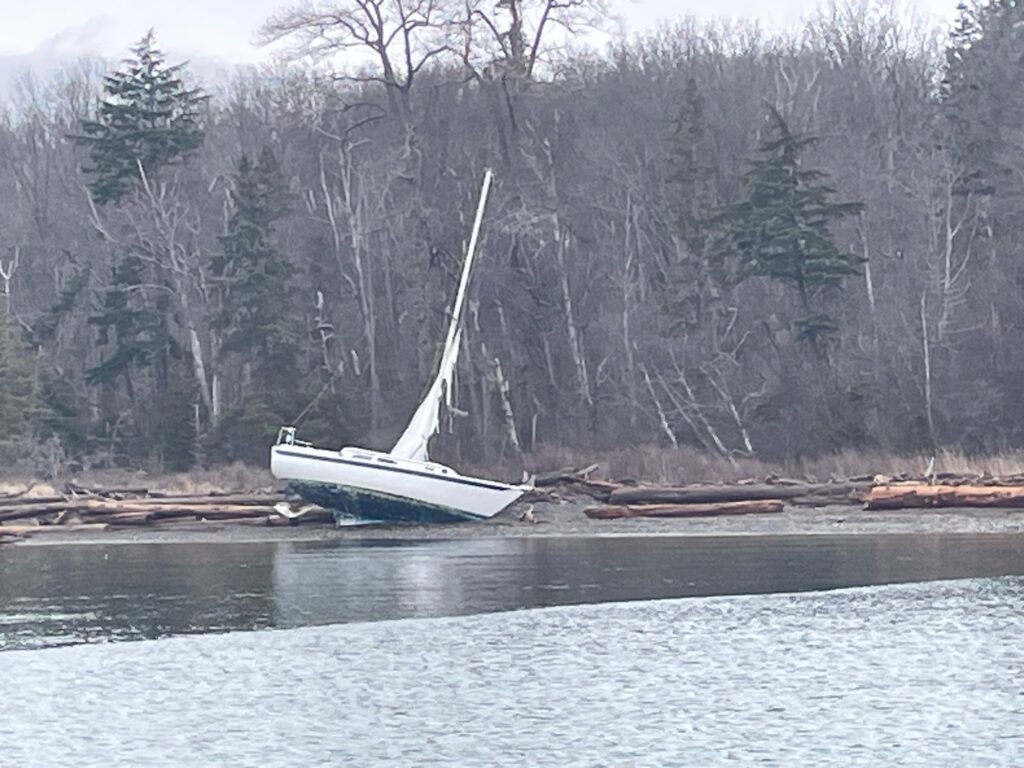 a sailboat on the water (MyCoast AI)