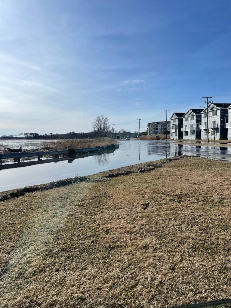 a body of water with buildings along it (MyCoast AI)