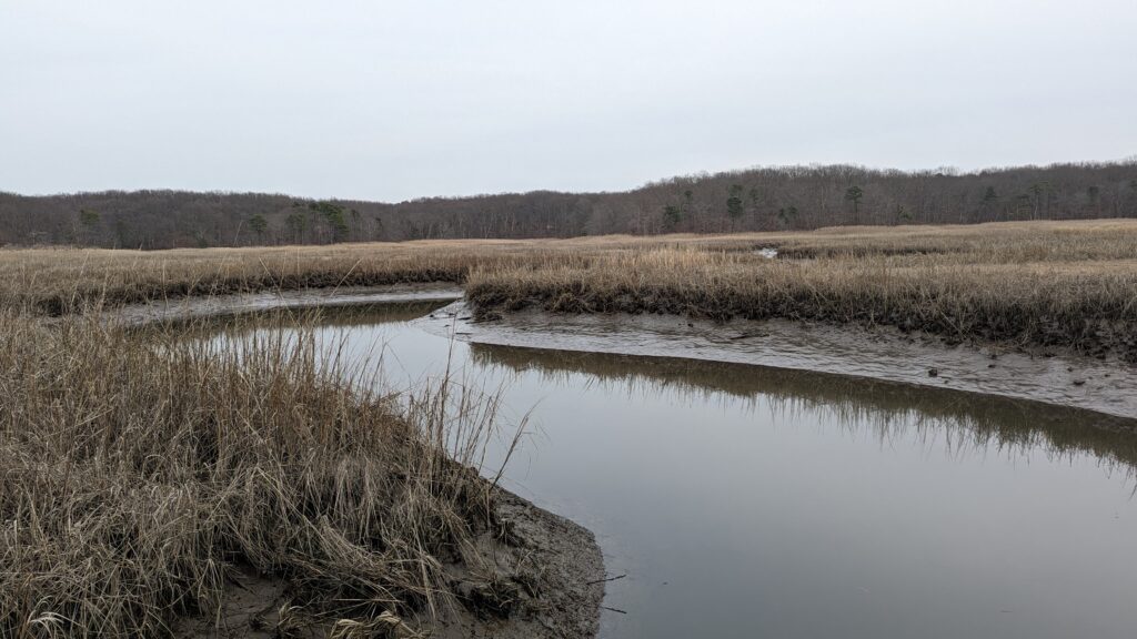 a body of water with grass and trees around it (MyCoast AI)