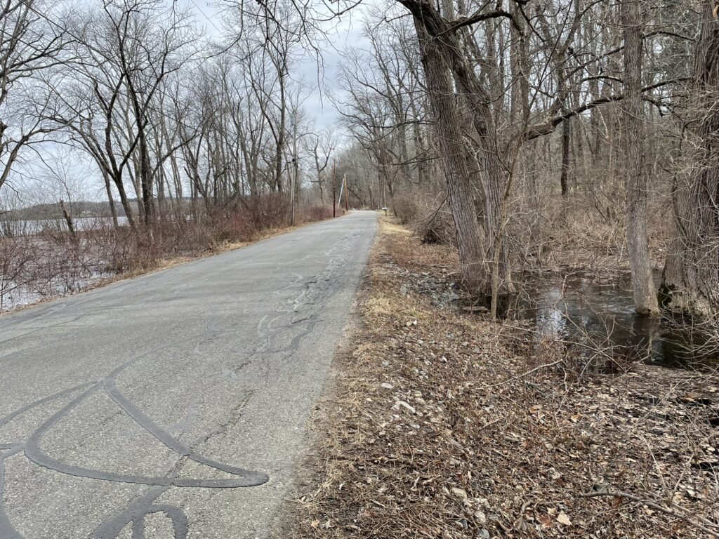 a road with trees on the side (MyCoast AI)