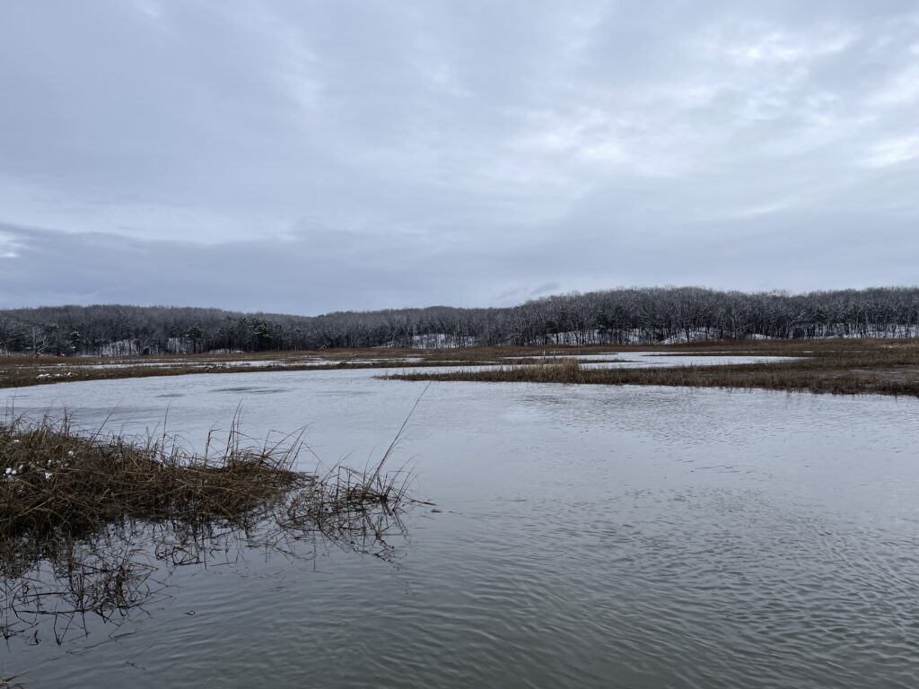 a body of water with snow and trees in the background (MyCoast AI)