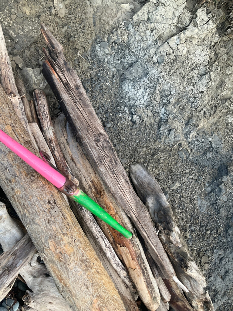 a couple of toothbrushes on a tree stump (MyCoast AI)
