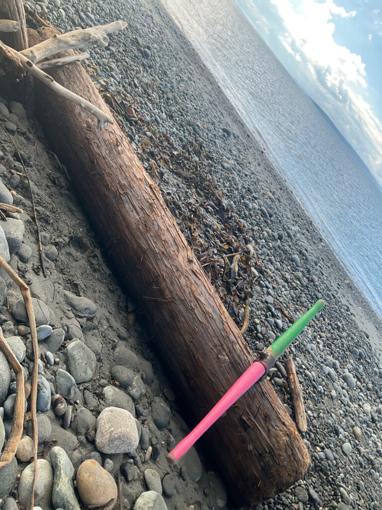 a rocky beach with a body of water in the background (MyCoast AI)