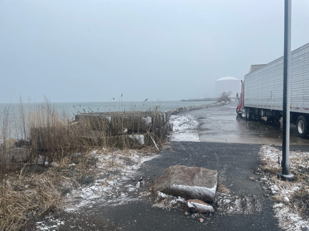a truck parked on the side of a road with a large turtle on the side (MyCoast AI)