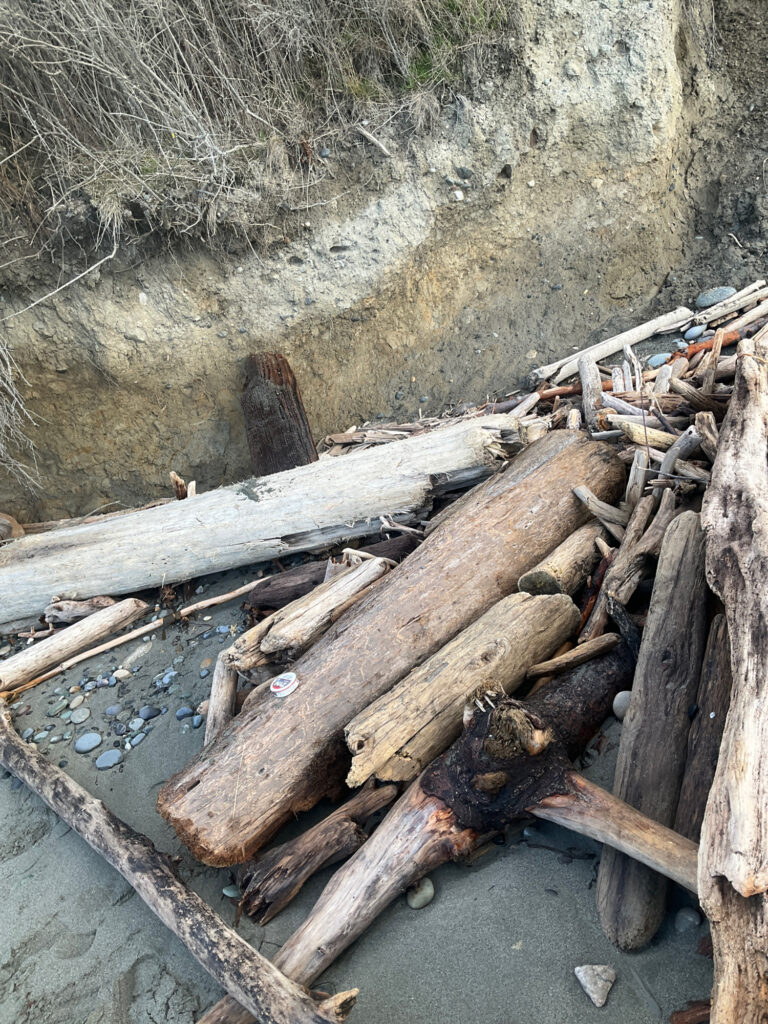 a pile of wood next to a wall (MyCoast AI)