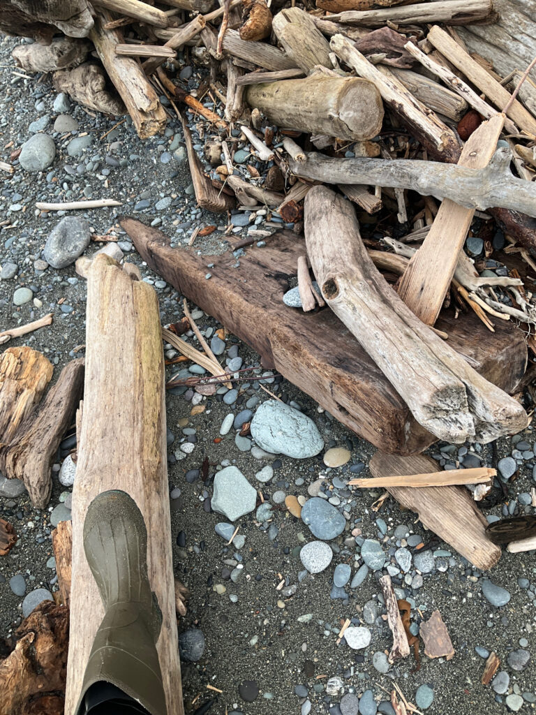 a pile of wood (MyCoast AI)