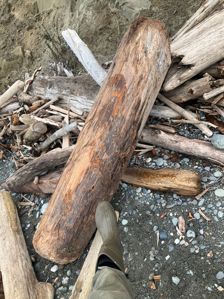 a person's feet on a log (MyCoast AI)