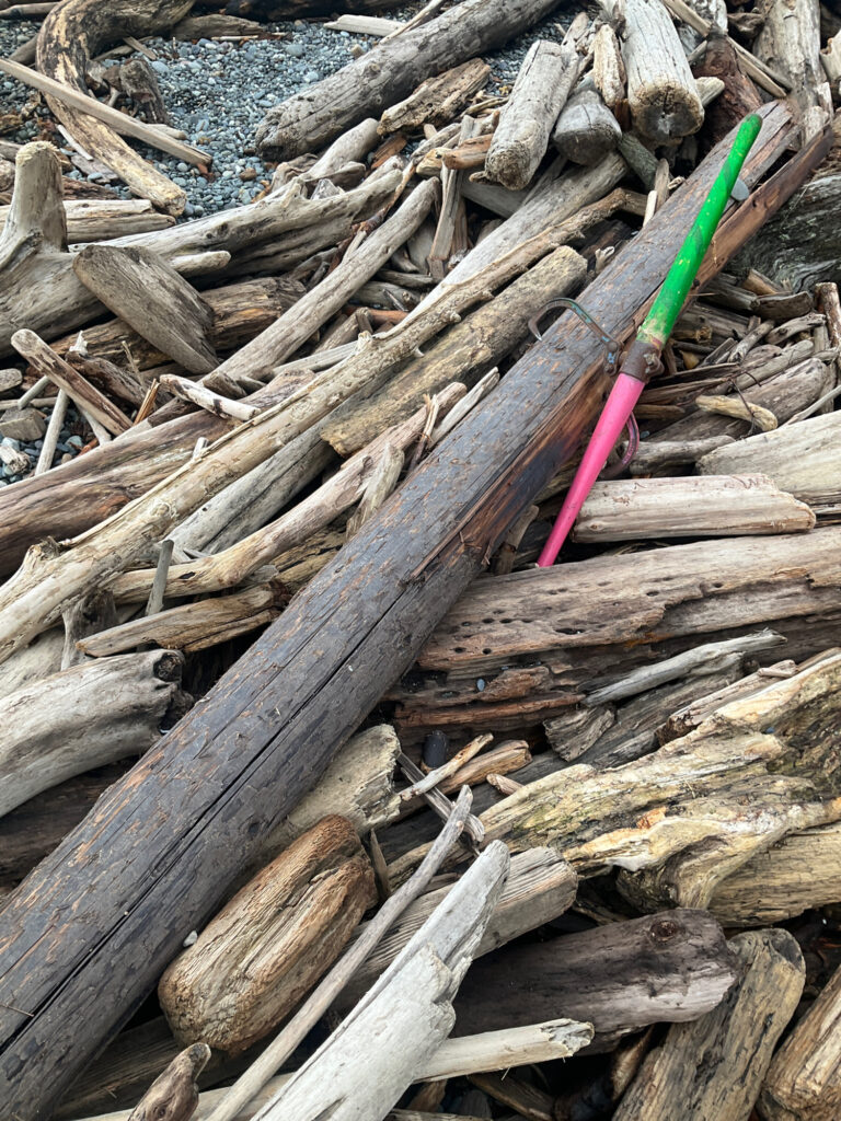 a pile of wood (MyCoast AI)