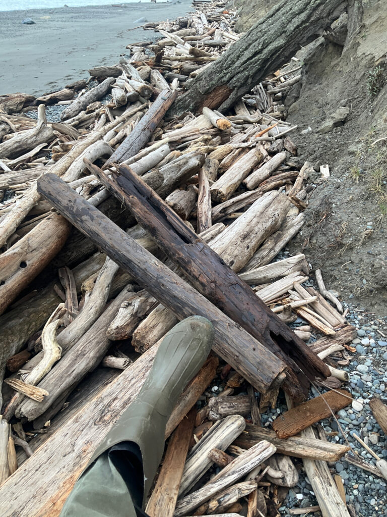 a pile of wood on the beach (MyCoast AI)