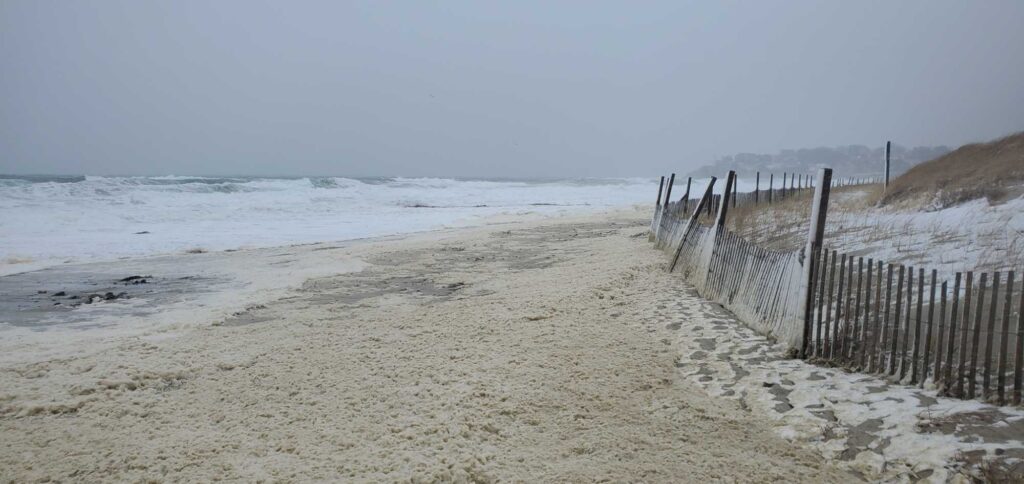a fence on a beach (MyCoast AI)