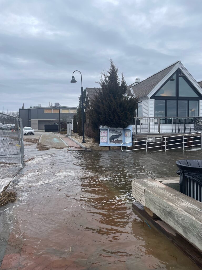 a flooded street with buildings and trees (MyCoast AI)