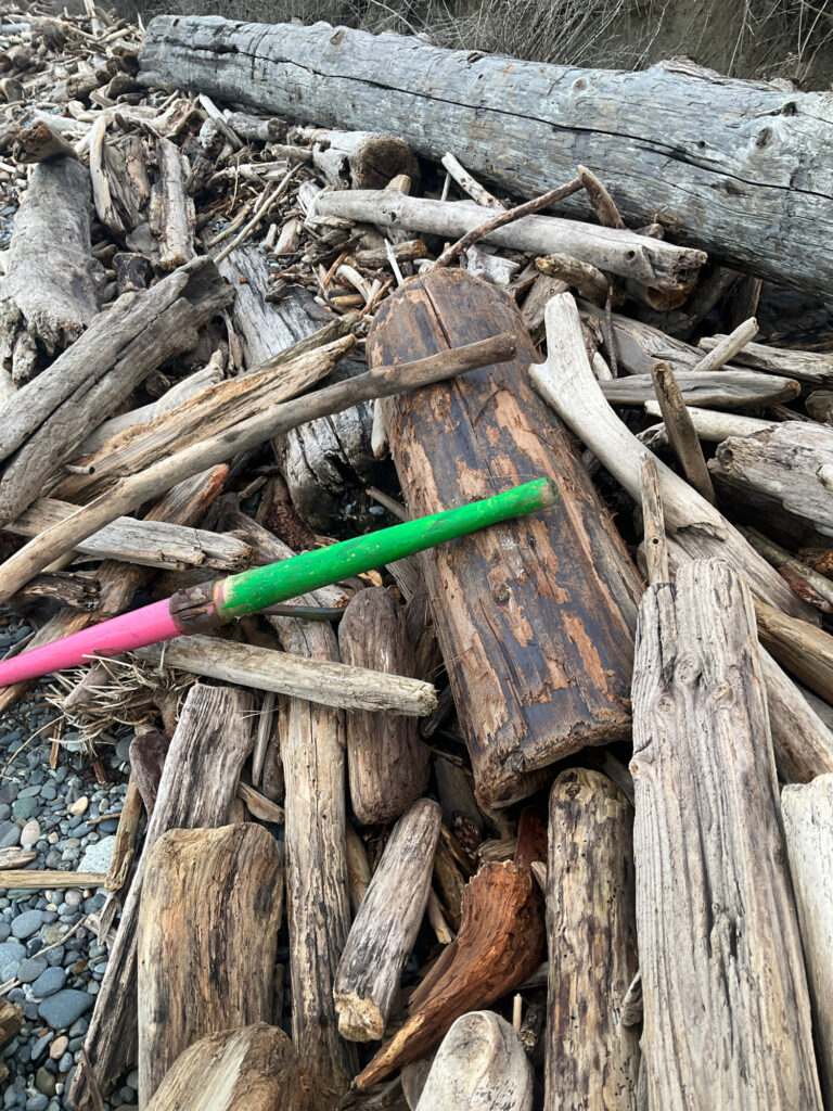 a pile of cut wood (MyCoast AI)