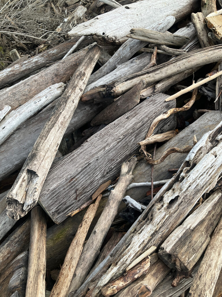 a pile of wood (MyCoast AI)