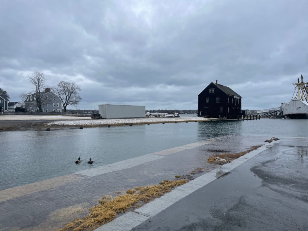 a body of water with buildings along it (MyCoast AI)