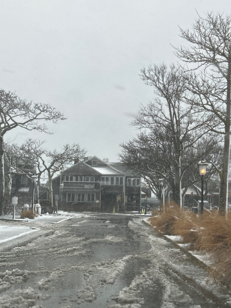 a road with snow on the side and trees on the side (MyCoast AI)