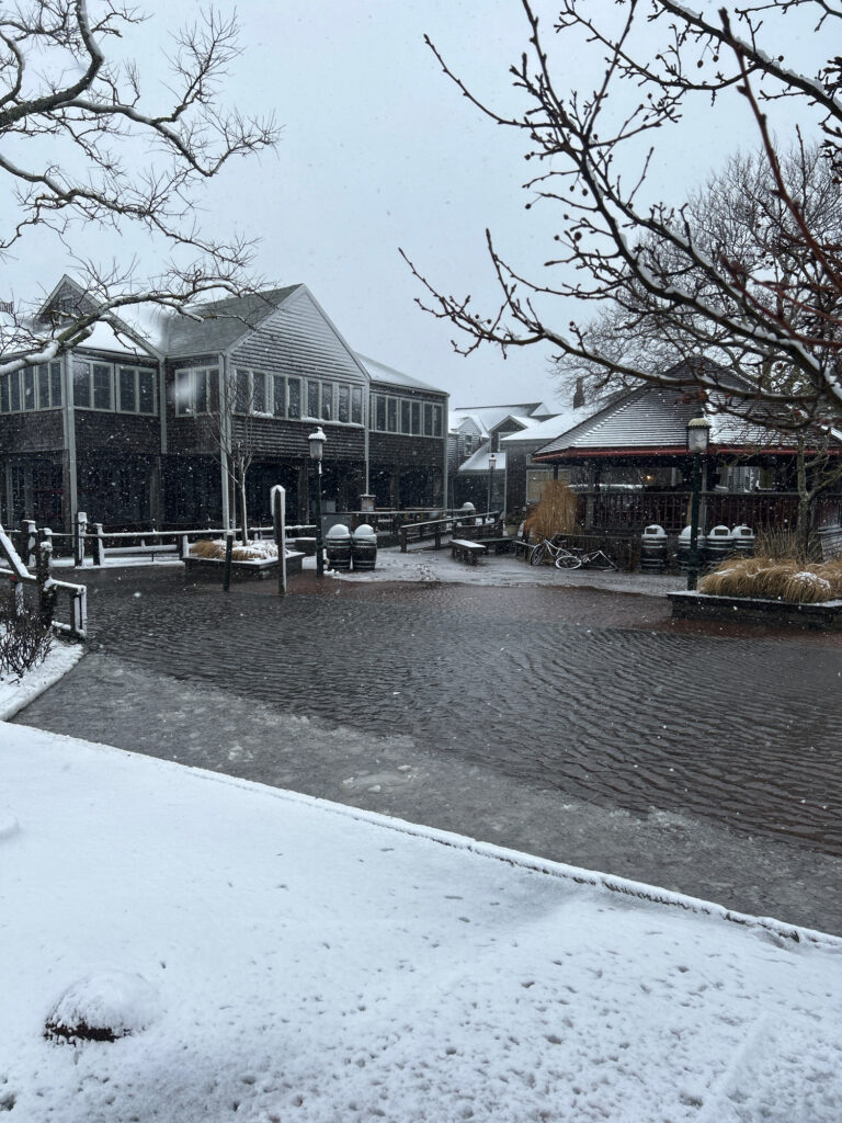 a house with a stream in front (MyCoast AI)