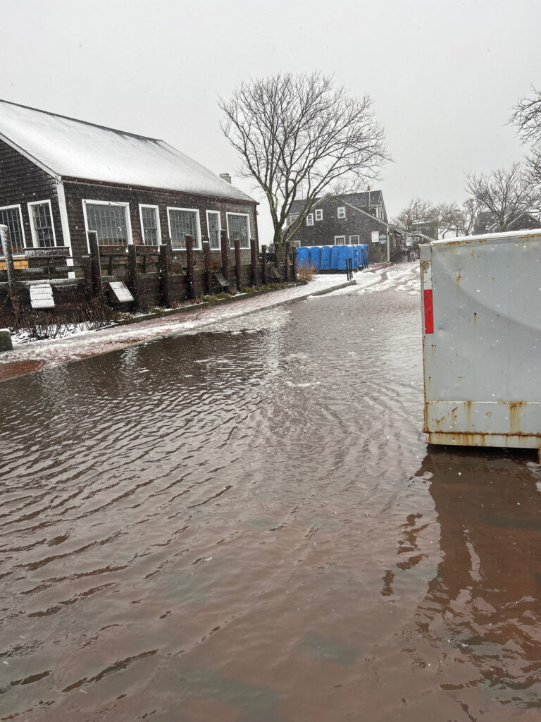 a flooded street with buildings and trees (MyCoast AI)