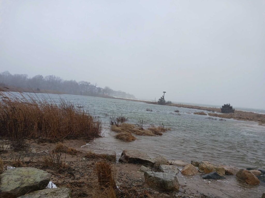 a body of water with rocks and plants on the side (MyCoast AI)
