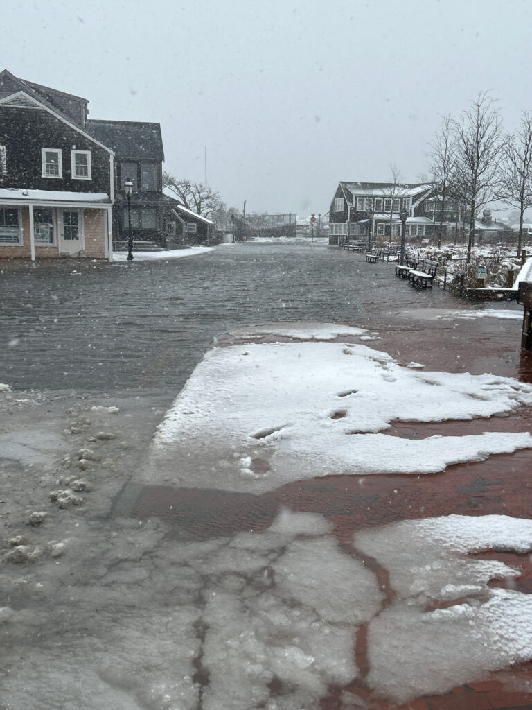 a puddle of water on a street (MyCoast AI)