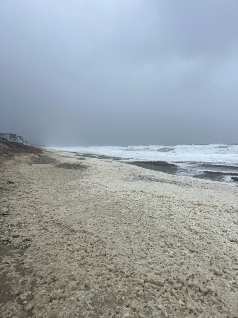 a sandy beach with waves crashing on it (MyCoast AI)