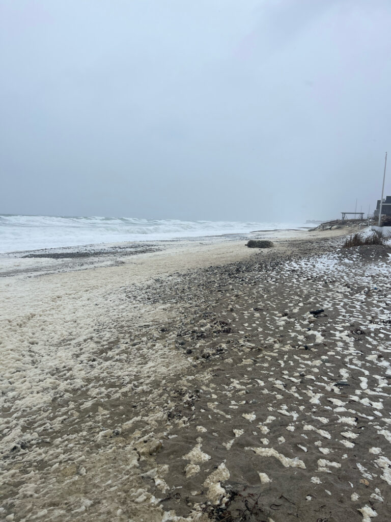 a rocky beach with waves crashing (MyCoast AI)