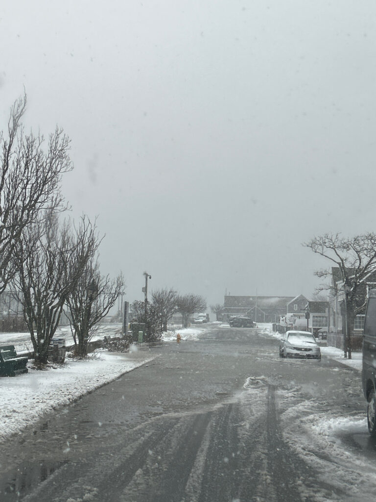 a road with snow on the side (MyCoast AI)