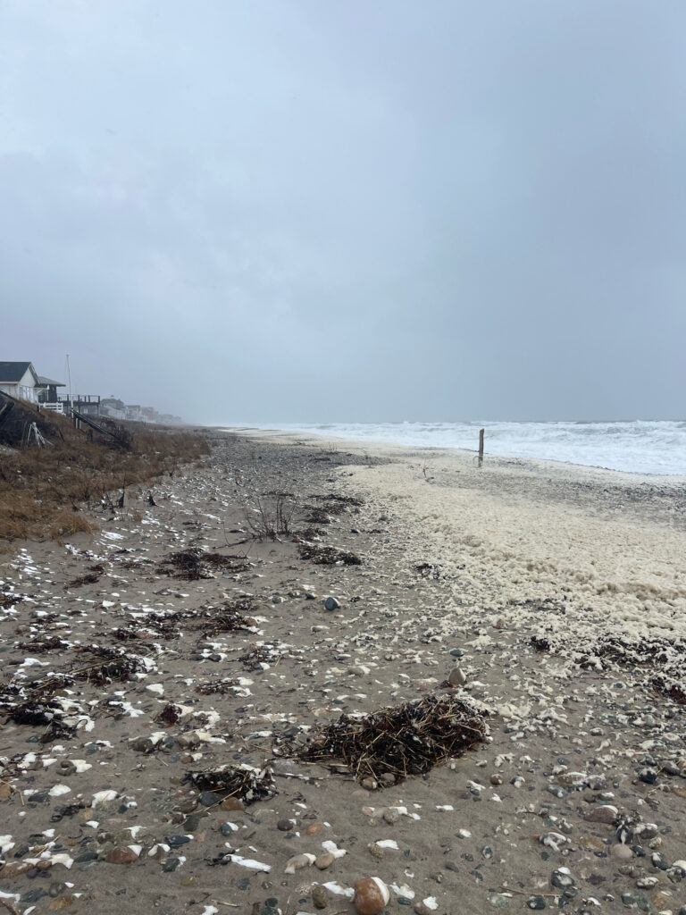a rocky beach with a building in the distance (MyCoast AI)