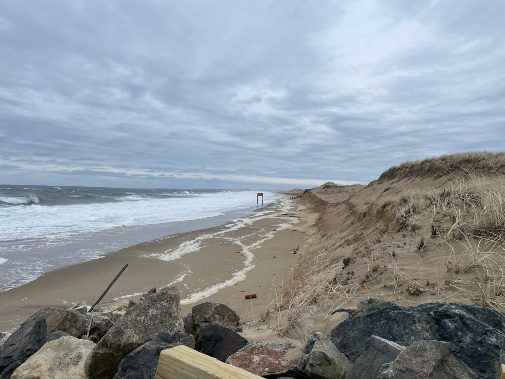 a beach with rocks and a body of water (MyCoast AI)