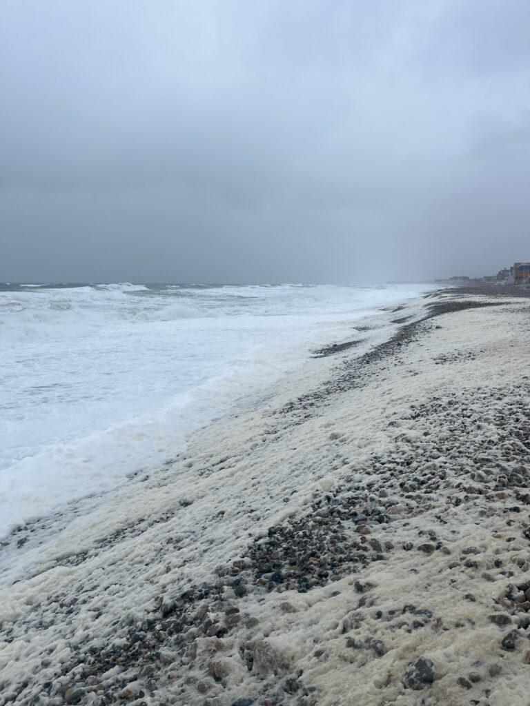 a beach with rocks and water (MyCoast AI)