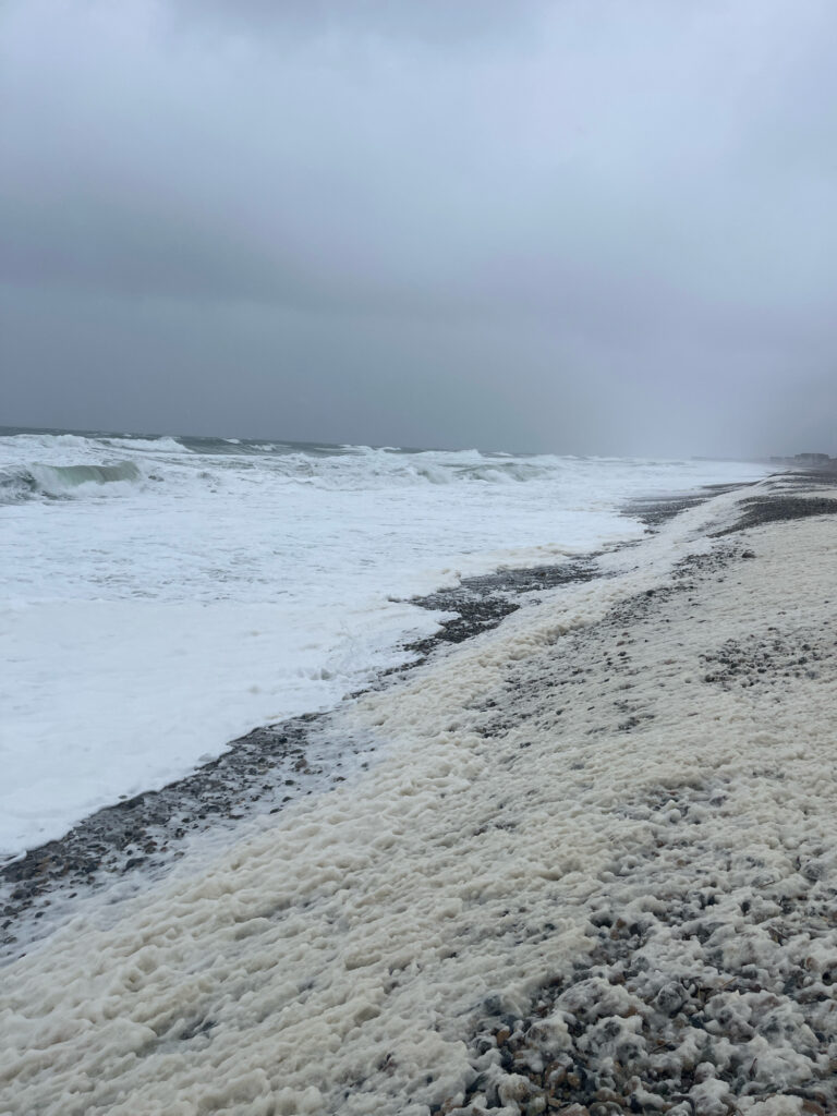a beach with waves crashing on it (MyCoast AI)