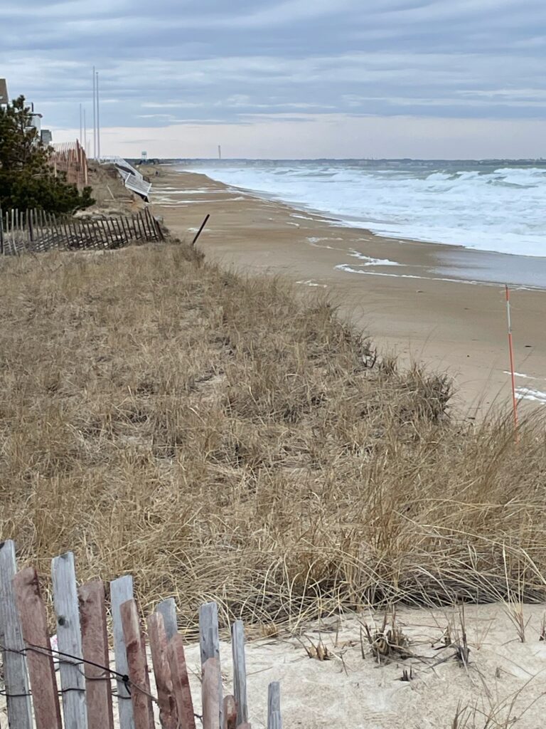 a beach with sand and grass (MyCoast AI)