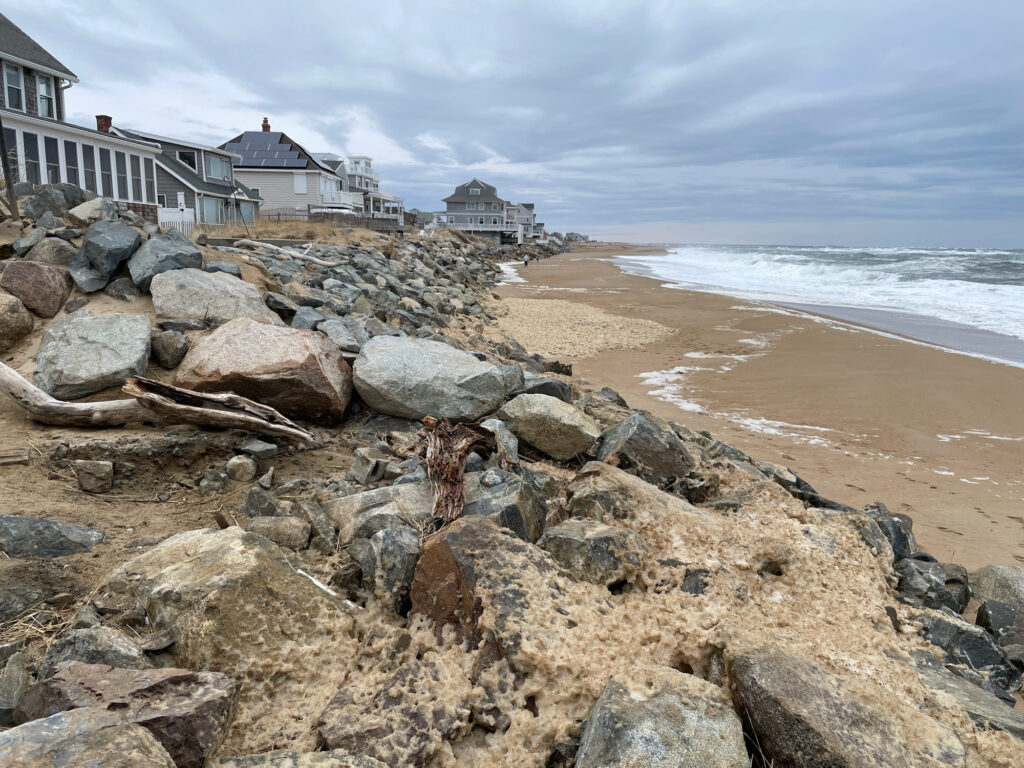 a rocky beach with houses and a body of water (MyCoast AI)