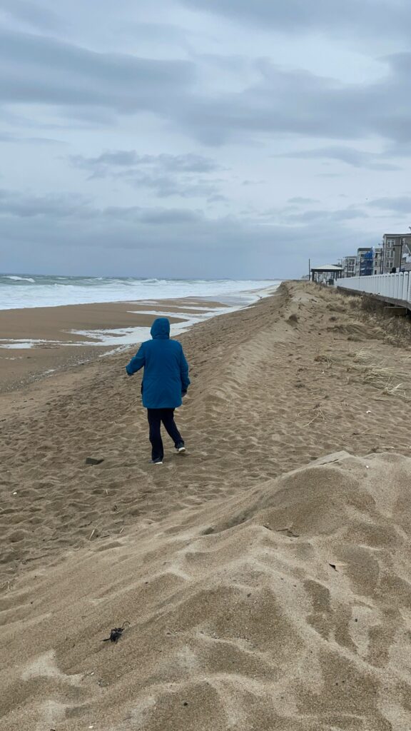 a person walking on a beach (MyCoast AI)